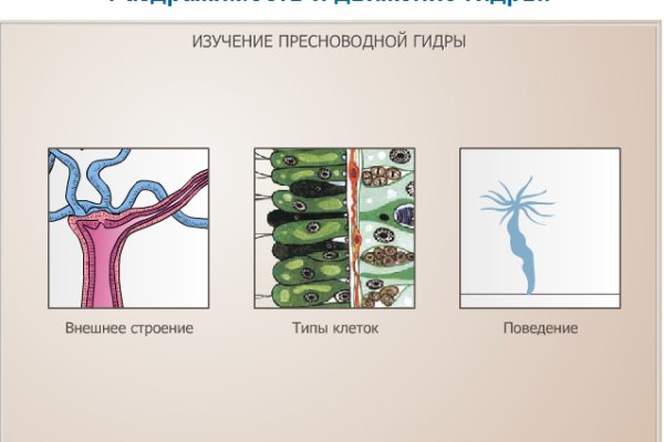 Кракен сайт доверенных