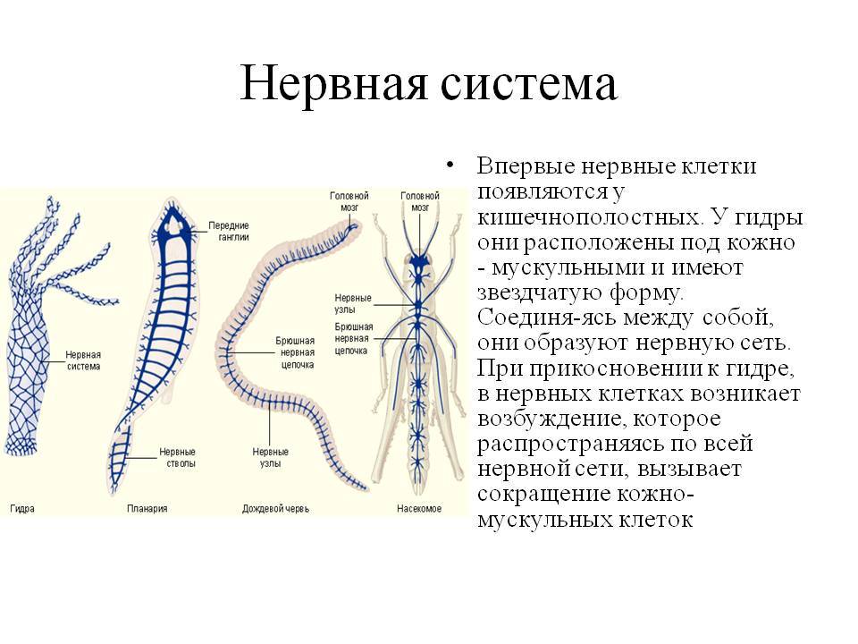 Омг убита